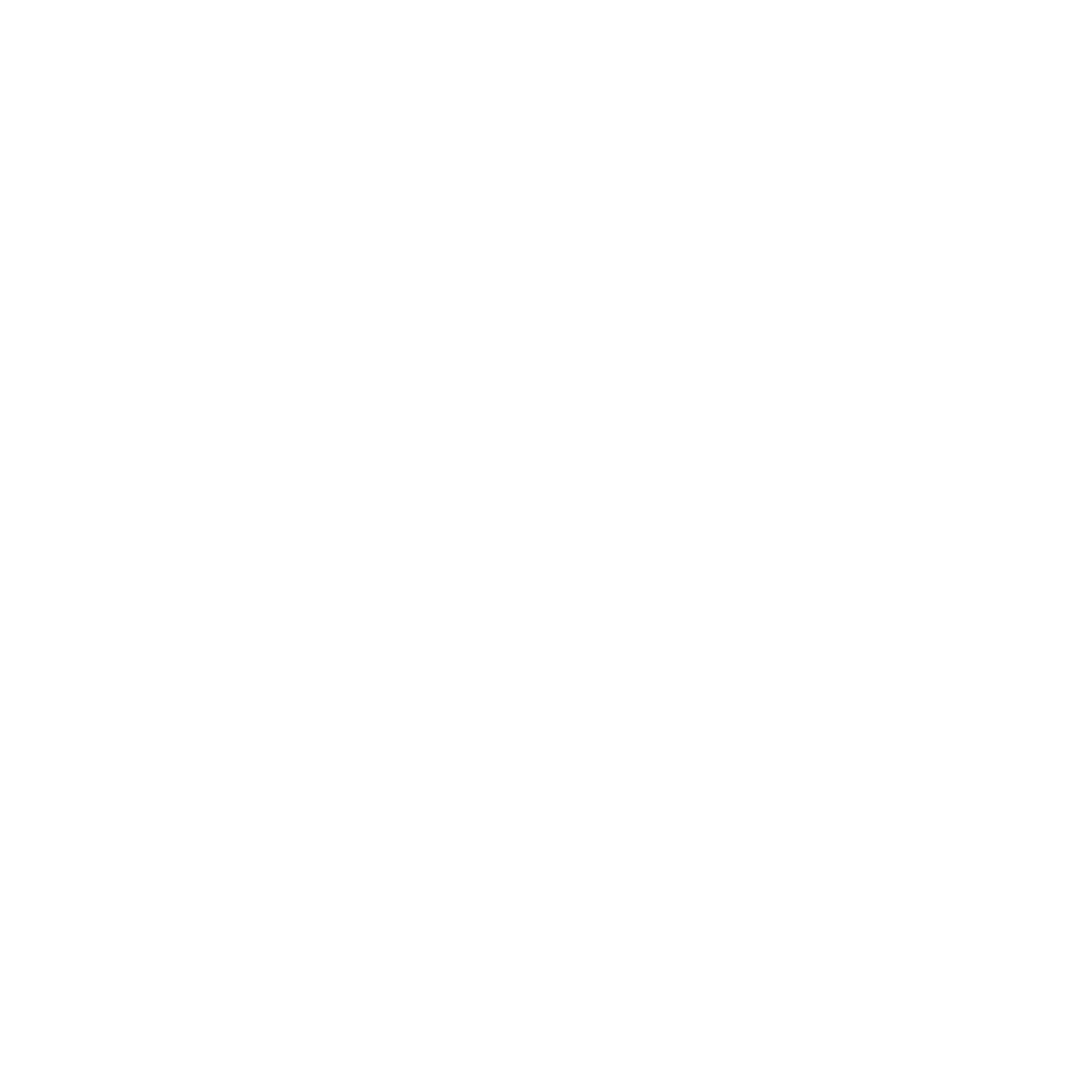 FORMULA EFFE